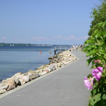 Fewo1846 - Fjordview - Komfortables Studioapartment Mit Balkon Und Meerblick 글룩스부르크 외부 사진